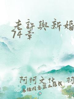 老许与新婚小倩74章