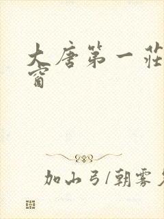 大唐第一庄无弹窗