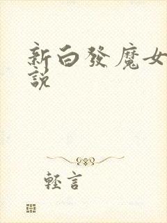 新白发魔女传小说