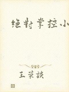 绝对掌控小说