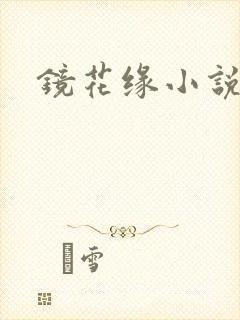 镜花缘小说
