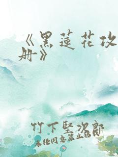 《黑莲花攻略手册》