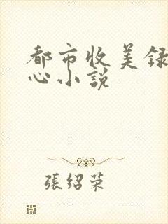 都市收美录宁素心小说