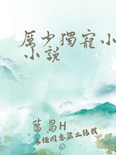 厉少独宠小娇妻 小说