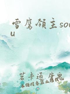 雪鹰领主sodu