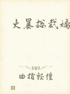 火暴总裁娇柔妻