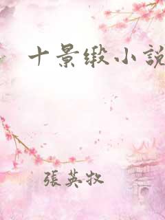 十景缎小说