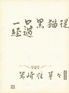 一只黑猫从眼前经过