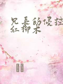 兄长的侵控by红柳木