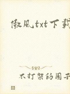 傲风txt下载