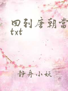 回到唐朝当皇帝txt