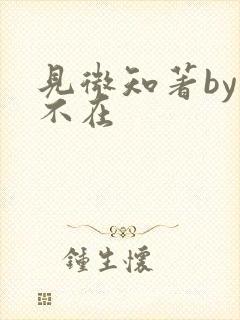 见微知著by音不在