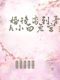 婚后脔到青梅哭h小白兔宫交h