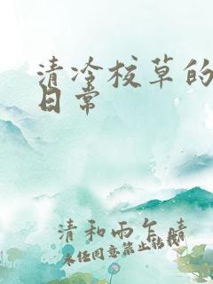 清冷校草的抹布日常