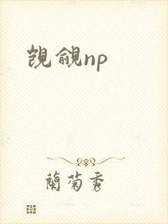 觊觎np