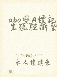 abo双A标记生殖腔撕裂