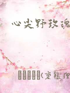 心尖野玫瑰