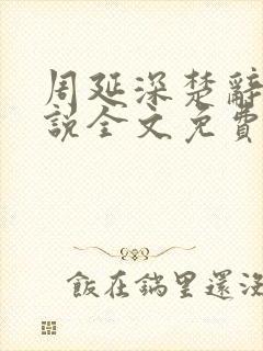 周延深楚辞的小说全文免费阅读