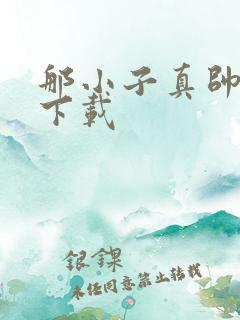 那小子真帅小说下载