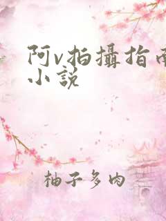 阿v拍摄指南说小说