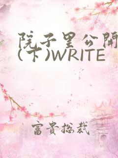 院子里公开惩戒(下)WRITE