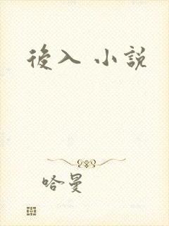 后入 小说