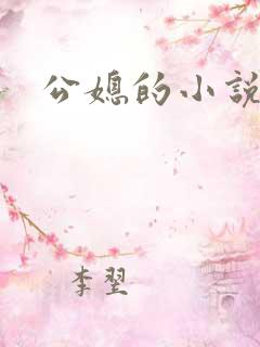 公媳的小说