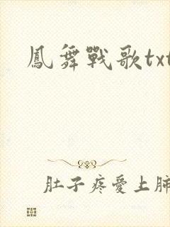 凤舞战歌txt