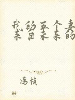 我的五个妻子和来自未来的孩子