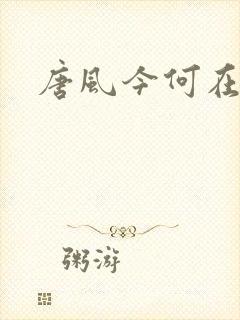 唐风今何在