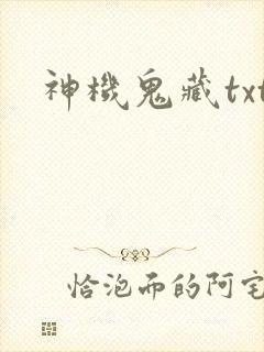 神机鬼藏txt