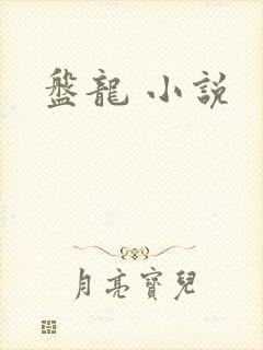 盘龙 小说