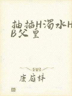 抽插H浊水H嫩B父皇