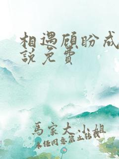 相遇顾盼成欢小说免费