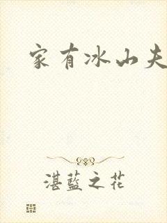 家有冰山夫