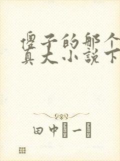 傻子的那个东西真大小说下载