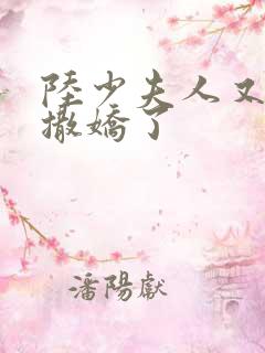 陆少夫人又双叒撒娇了