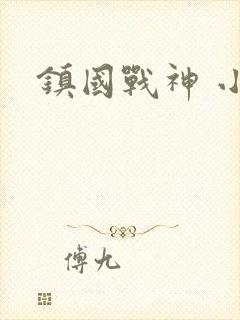 镇国战神 小说