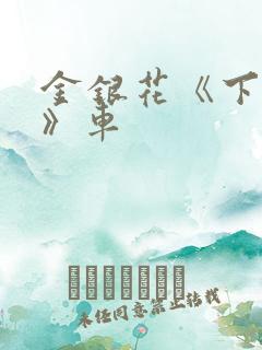 金银花《下厨房》车