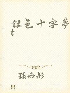 银色十字梦txt