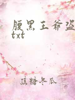 腹黑王爷盗墓妃txt