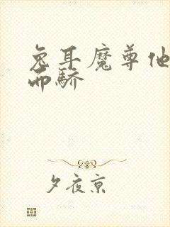 兔耳魔尊他恃宠而骄