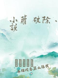 小萝 破除 小说