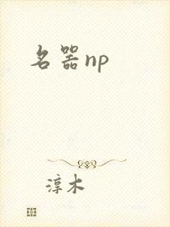 名器np