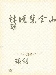 林晓慧金山的小说