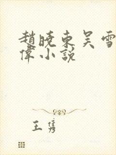 赵晓东吴雪晴郑伟小说