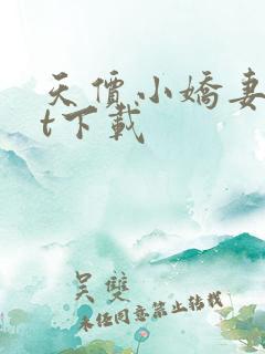 天价小娇妻txt下载