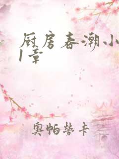 厨房春潮小说第1章