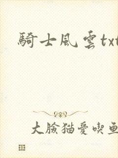 骑士风云txt