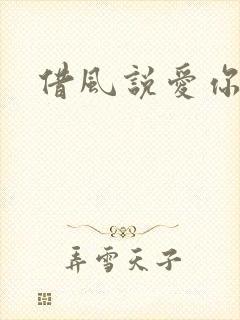 借风说爱你